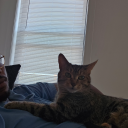 thistleandwine avatar