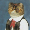 thisvelvetmorning avatar