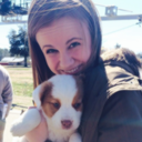 thiswalkers-blog avatar