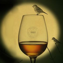 thiswhisky avatar