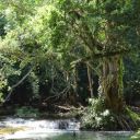 thitaree-blog avatar