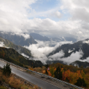 thjesht-nje-emer-midis-njerzve avatar