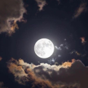 thloveprincess avatar