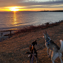 thnksforthememo96 avatar