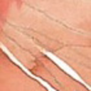 thomasderidder avatar