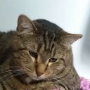 thoran-and-salem avatar