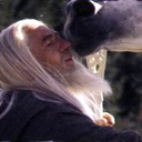 thorin-theeagles avatar