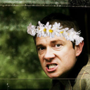 thorinawesomeshield avatar