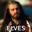 thorinshakingfistatelves avatar