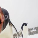 thorn-rambles-on avatar