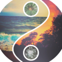 thorninstitute avatar