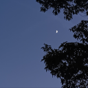 thorntheinker avatar