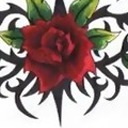 thornyrose463 avatar
