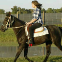 thoroughbred-enthusiast-blog avatar