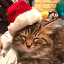 thoroughlymagicalmonument avatar