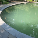 those-arent-meant-to-bend avatar