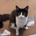 thosedistantsolarsystems avatar