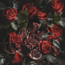 thosepityangeltears avatar