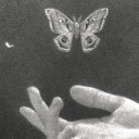 thought-i-wasdivine avatar