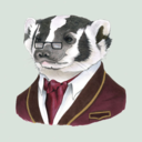 thoughtfulbadger avatar