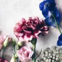 thoughtless-posts avatar