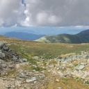 thoughtless-revelation avatar