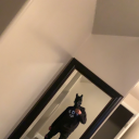 thoughtlessaffliction avatar