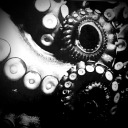 thoughts-from-the-void avatar