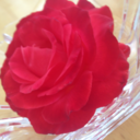 thoughts-into-the-void avatar