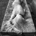 thoughts-lost-in-mail avatar