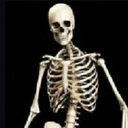 thoughts-of-a-dumbass avatar