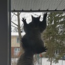 thoughts-of-a-noodle avatar