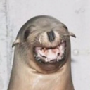 thoughts-of-an-intp avatar