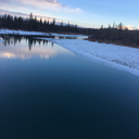 thoughts-wants-andfears avatar