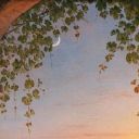 thoughtsboutem avatar