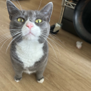 thoughtsfromacrazyperson avatar