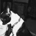 thoughtsfromaseamstress avatar