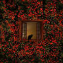 thoughtsfrommyotherside avatar