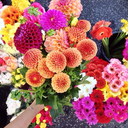 thoughtsfromneverland avatar