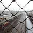 thoughtsfromsirius avatar