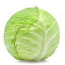 thoughtsofa-cabbage-blog avatar