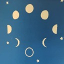 thoughtsofa-starvingartist avatar