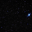 thoughtswithoutborders avatar