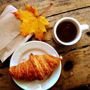 thousand-falls-thousand-winters avatar