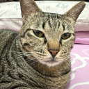 thousandsoffacess avatar