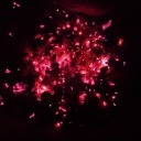 thrasheaddylan avatar