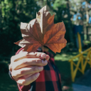 threadsandknots avatar