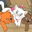 three-french-kittens-blog avatar