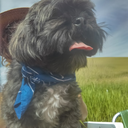 three-seas-writes avatar