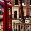 threedomiciles avatar